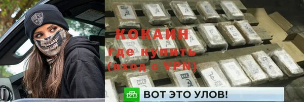 тгк Бородино