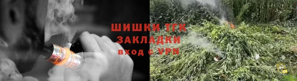 тгк Бородино
