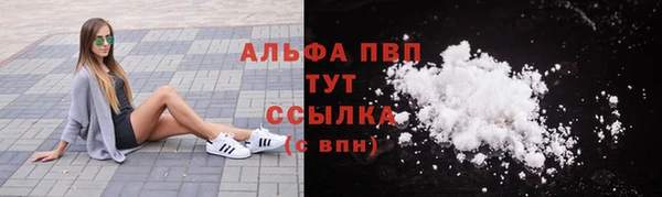 тгк Бородино