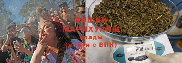 тгк Бородино