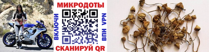 Галлюциногенные грибы ЛСД  Купить  Нестеров 